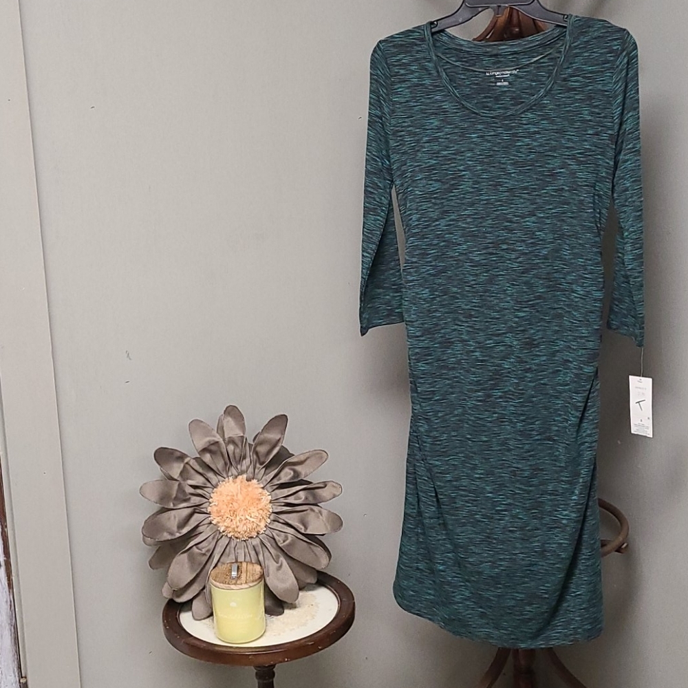 Liz Lange Maternity Dress NWT